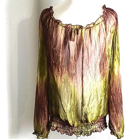 Lane Bryant Sheer Ombre' Blouse, Browns & Greens, Gold Striped Lines, Size 14/16 - Picture 5 of 7